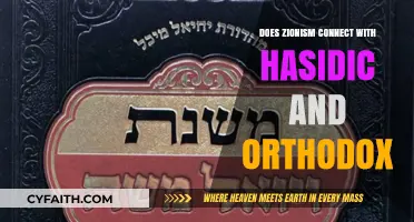 Zionism's Complex Relationship with Hasidic and Orthodox Judaism Explored