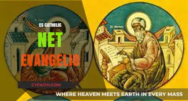 Exploring the Catholic Net Gospel: Faith, Technology, and Evangelization