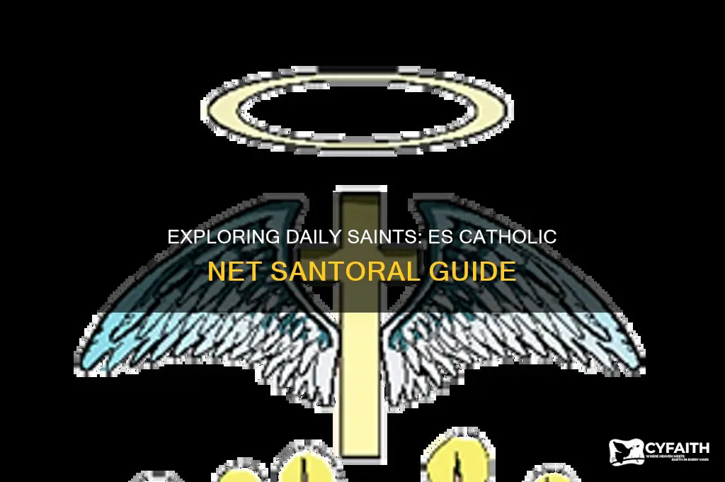es catholic net santoral