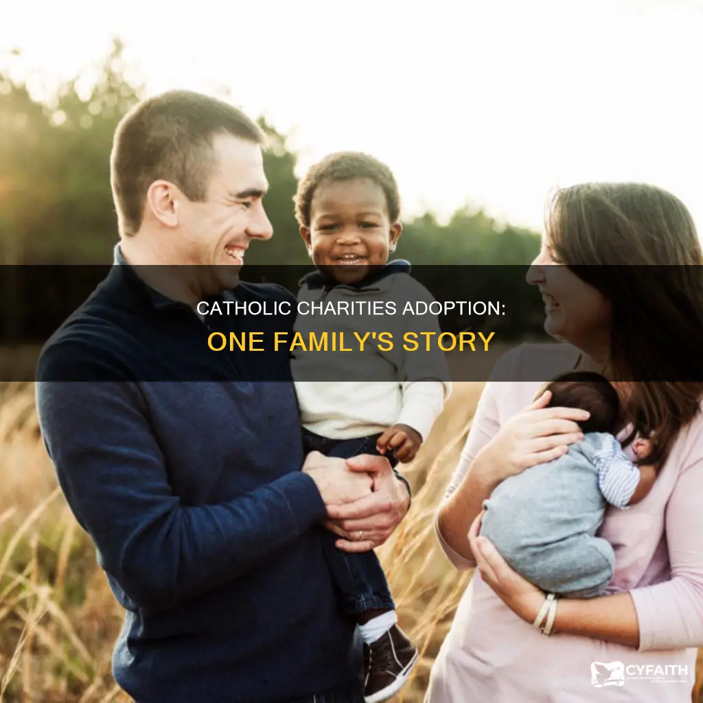 has anyone adopted through catholic charities
