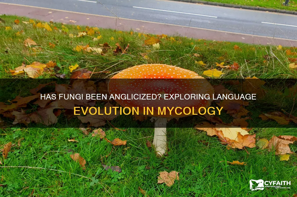 has fungi been anglicized