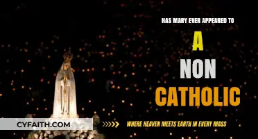 Mary Appearing to Non-Catholics: Is It Possible?