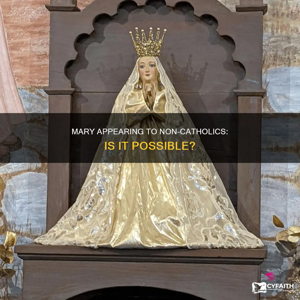 has mary ever appeared to a non catholic