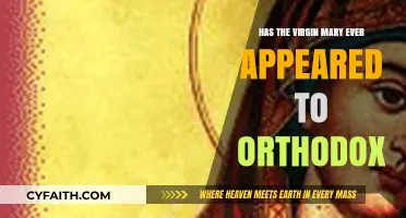Have Orthodox Believers Witnessed Apparitions of the Virgin Mary?