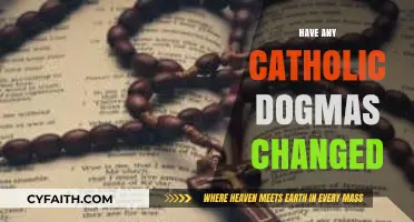 Have Catholic Dogmas Evolved Over Time? Exploring Historical Shifts