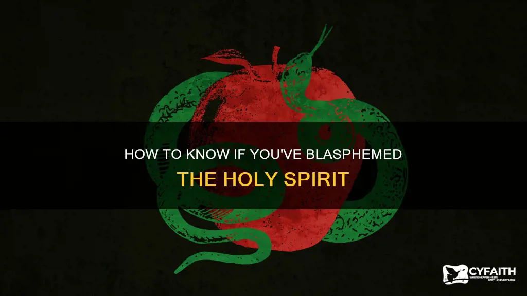 have i blaspheme the holy spirit catholic