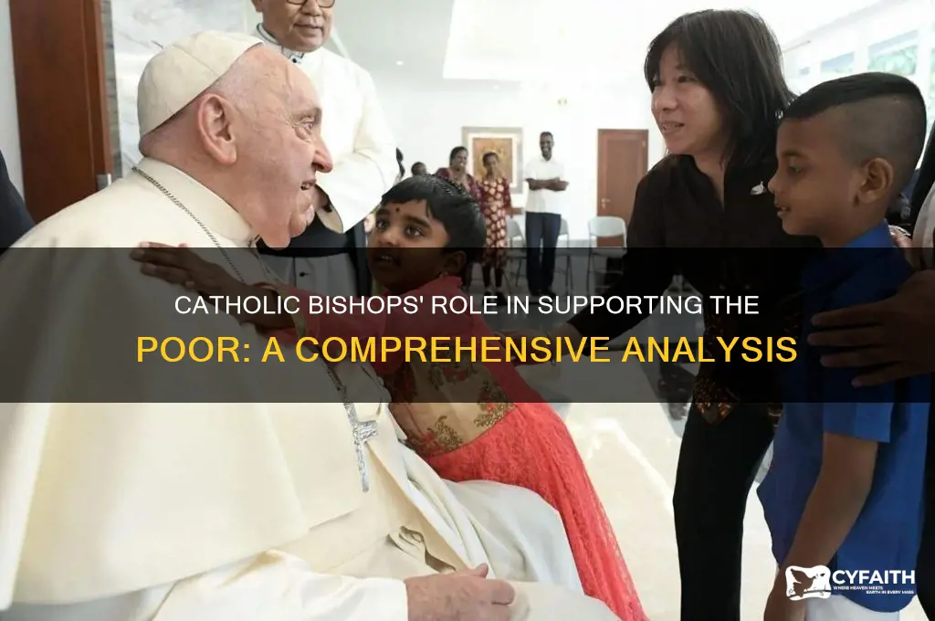 have the catholic bishoos provided assustance to the piir