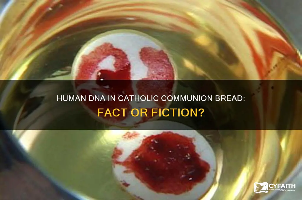 have they found human dna in catholic communion btead