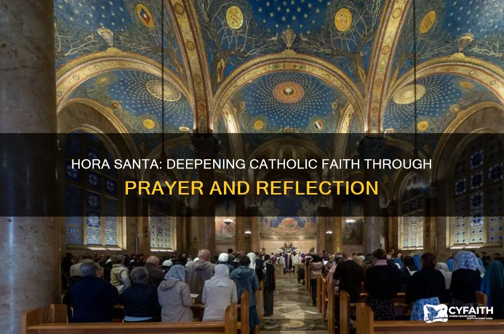 hora santa catholic net