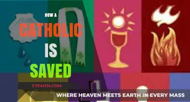 Understanding Catholic Salvation: Grace, Faith, and Sacramental Life Explained