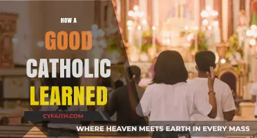A Catholic's Journey: Lessons in Faith, Growth, and Grace