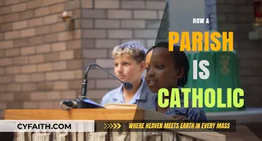 Understanding the Catholic Identity: What Defines a Parish's Faith and Mission