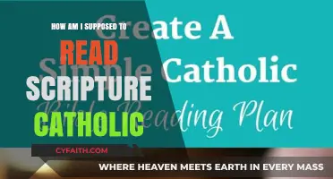 Scripture Study: A Catholic's Guide to Reading