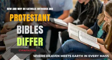Catholic, Orthodox, Protestant Bibles: Key Differences and Historical Reasons