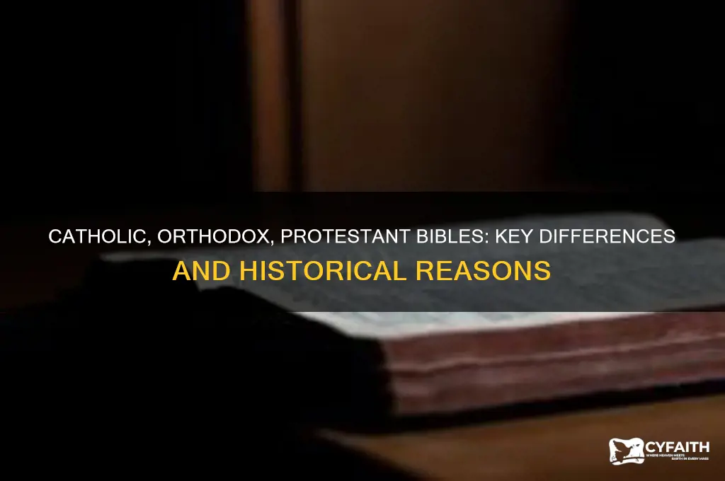 how and why do catholic orthodox and protestant bibles differ