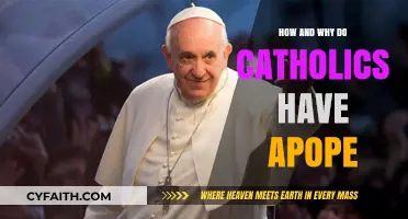 Understanding the Pope's Role in Catholicism
