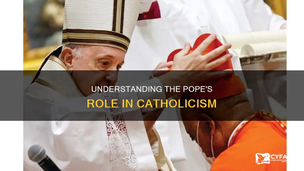 how and why do catholics have apope