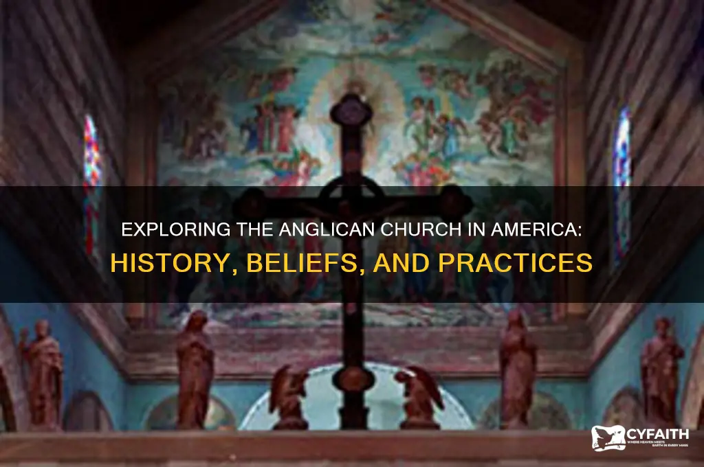 how anglican church in america