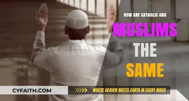 Similarities Between Catholics and Muslims: What Unites Them?