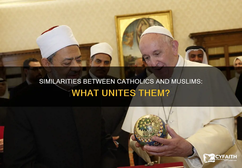 how are catholic and muslims the same