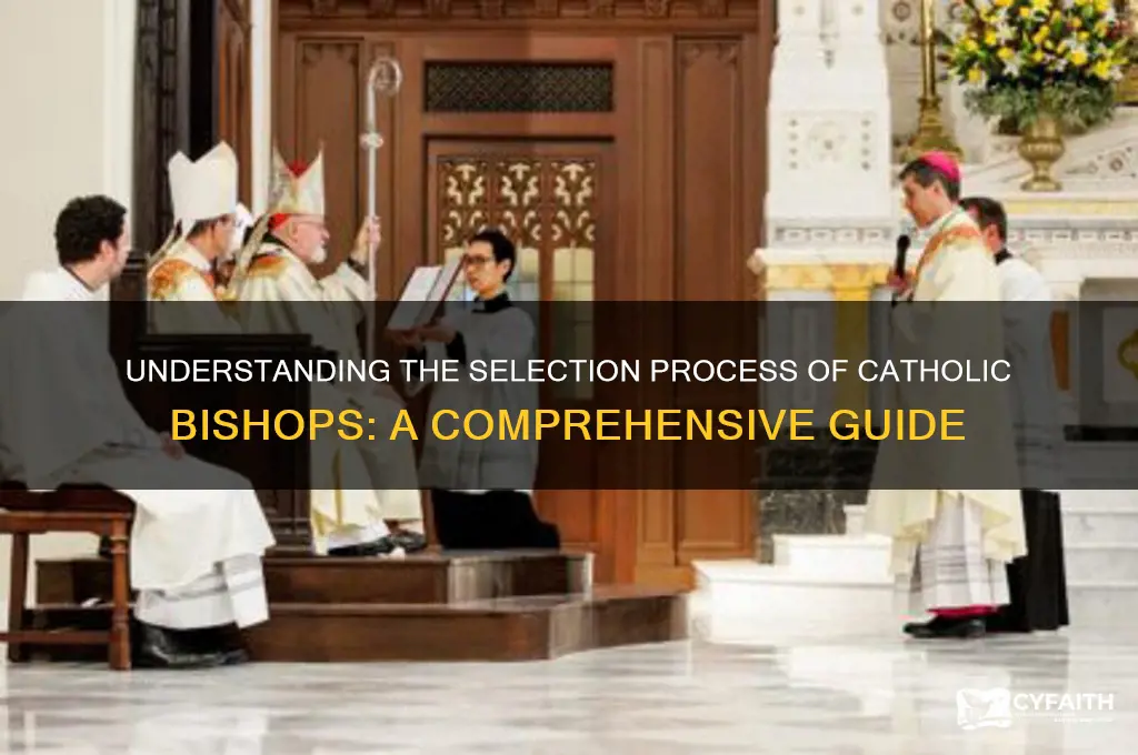how are catholic bishops chosen