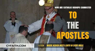 The Apostolic Succession: Bishops and the Apostles