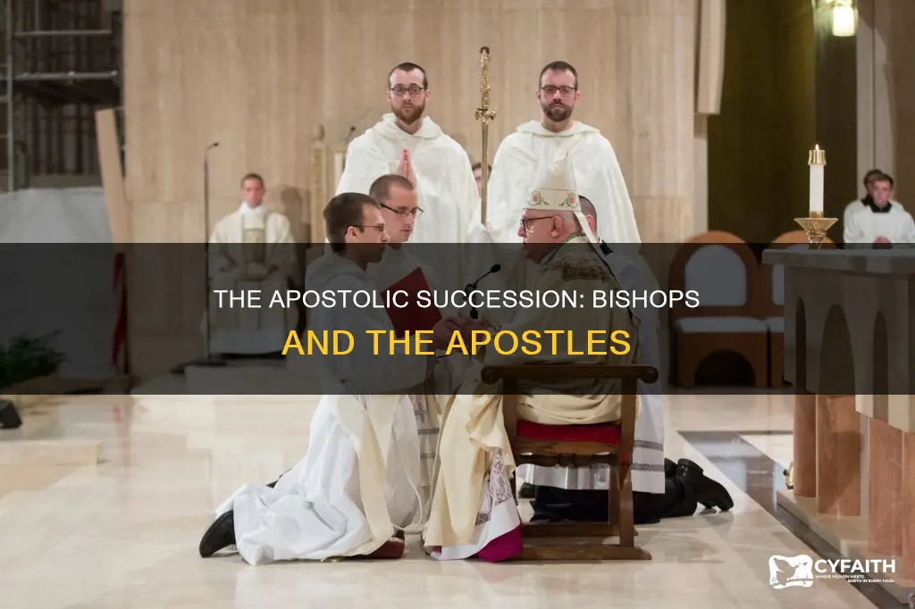 how are catholic bishops connected to the apostles