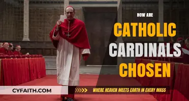 How Catholic Cardinals Are Chosen: A Comprehensive Selection Process
