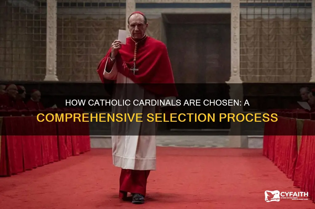how are catholic cardinals chosen