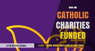 Understanding Catholic Charities Funding Sources and Financial Support Systems