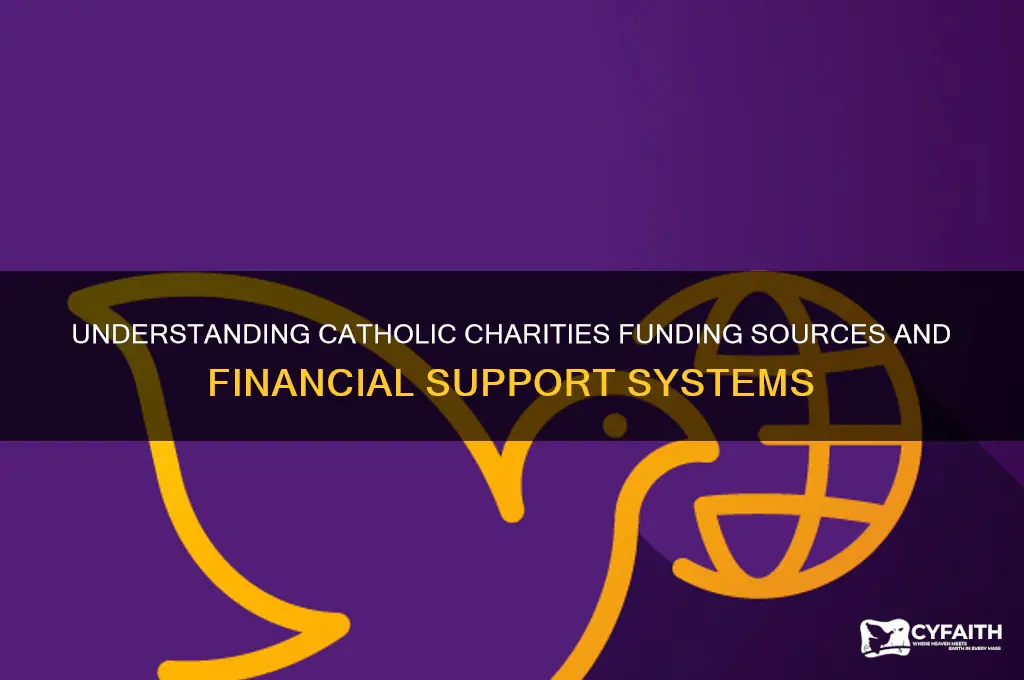how are catholic charities funded