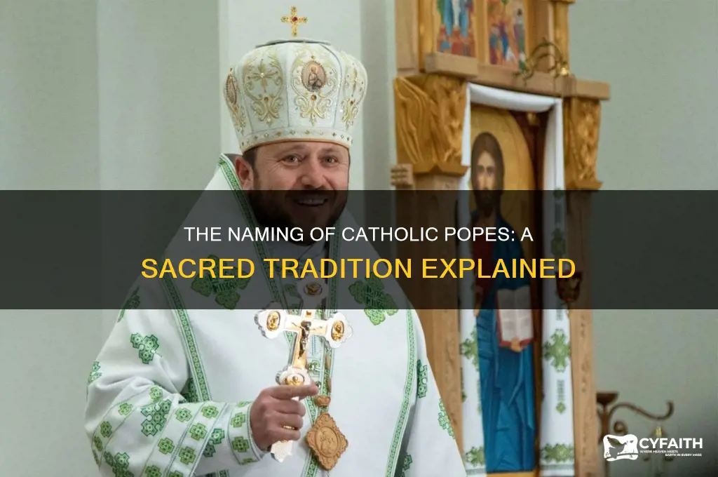 how are catholic popes named