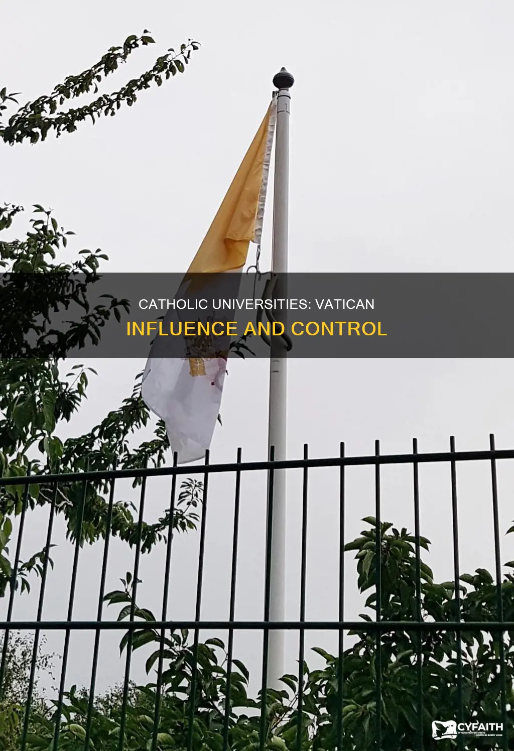 how are catholic universities related to the vatican