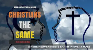 Christians and Catholics: What Are the Similarities?