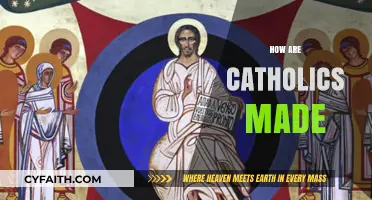 Understanding the Catholic Faith: Formation, Sacraments, and Community