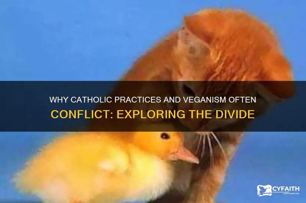 how are catholics not vegan