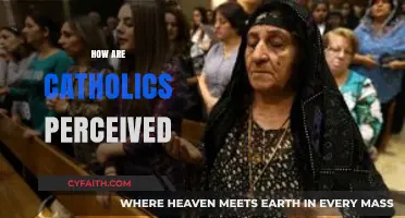 Understanding Catholic Perceptions: Global Views on Faith and Tradition