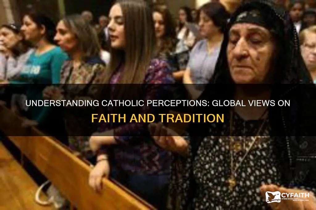 how are catholics perceived