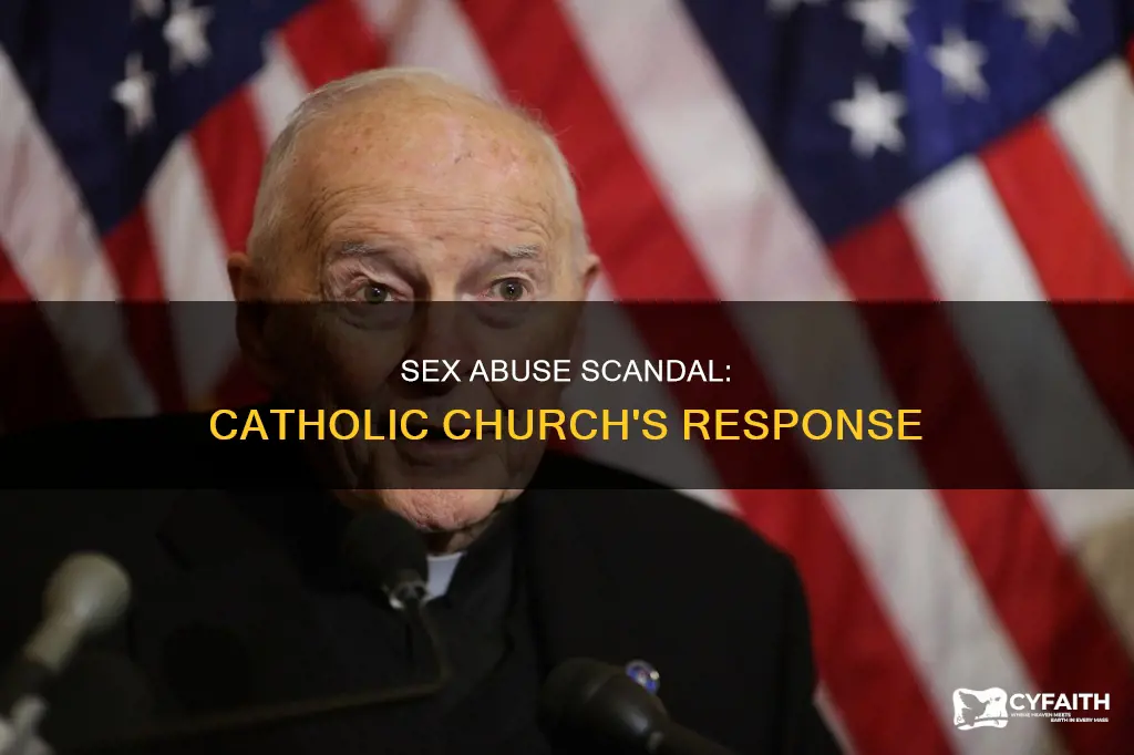 how are catholics talking the sex abuse scandal