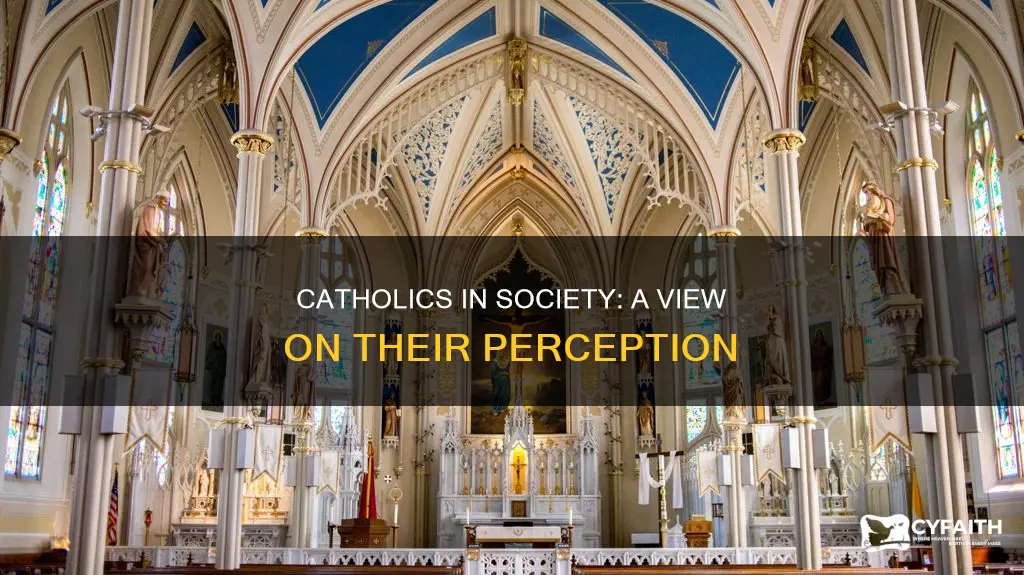 how are catholics viewed in society