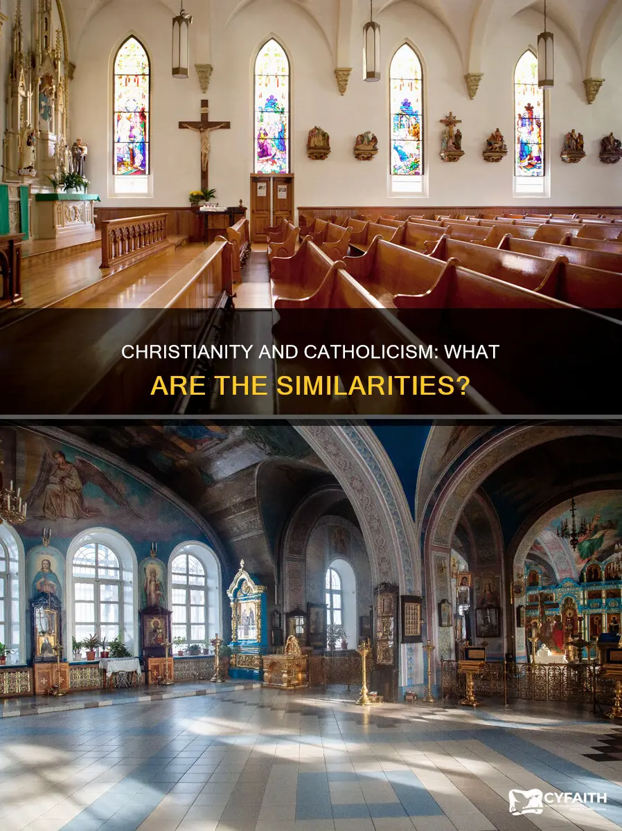 how are christianity and catholic similar
