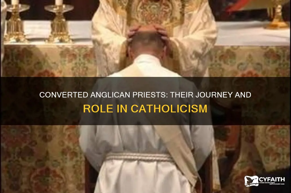 how are converted anglican priests working out in catholicism