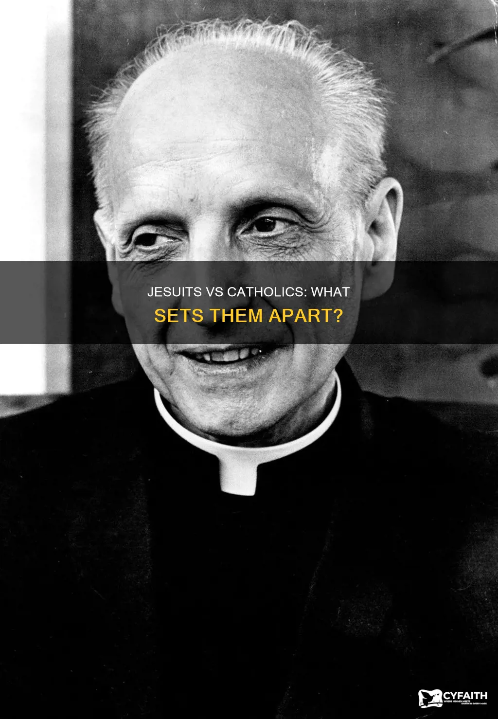 how are jesuits differnet from catholics