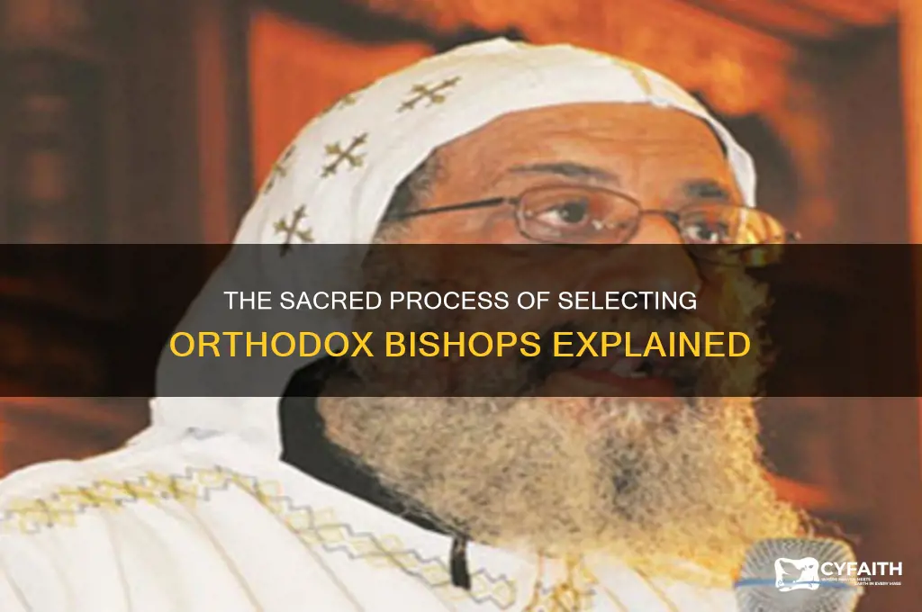 how are orthodox bishops chosen