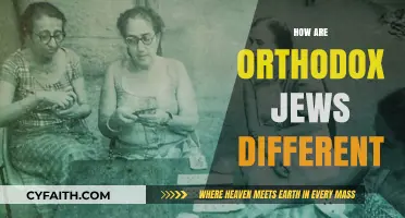 Understanding Orthodox Judaism: Distinct Practices, Beliefs, and Lifestyle Explained
