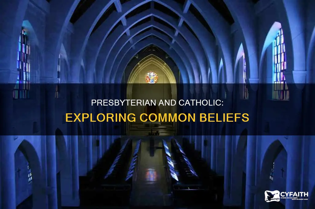 how are presbyterian beliefs similar to catholic