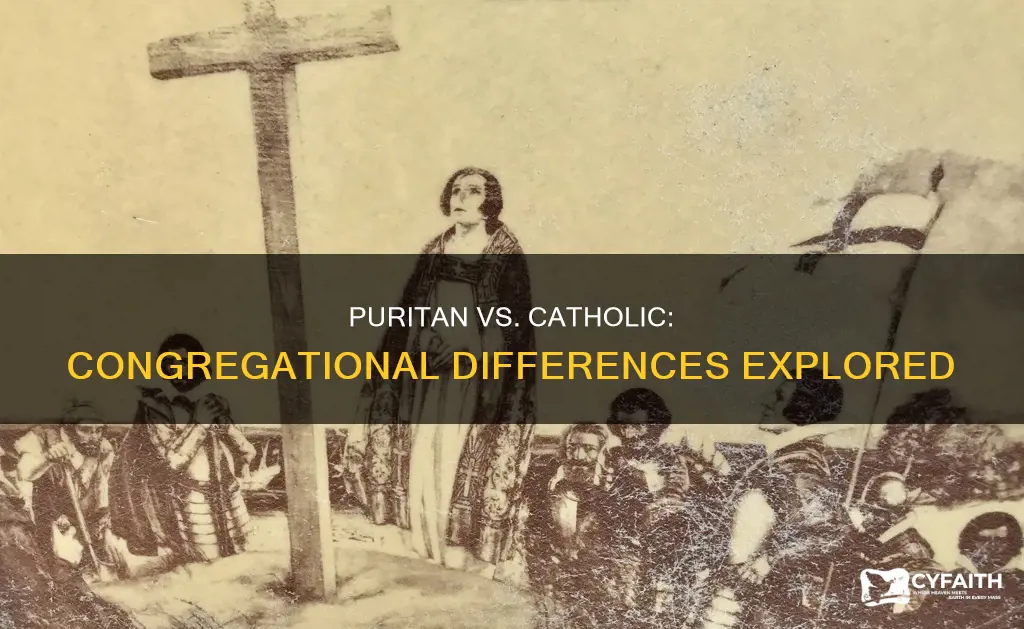 how are puritan congregations diffrent than catholic congregation