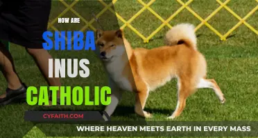 Shiba Inus and Catholicism: Exploring the Unexpected Spiritual Connection