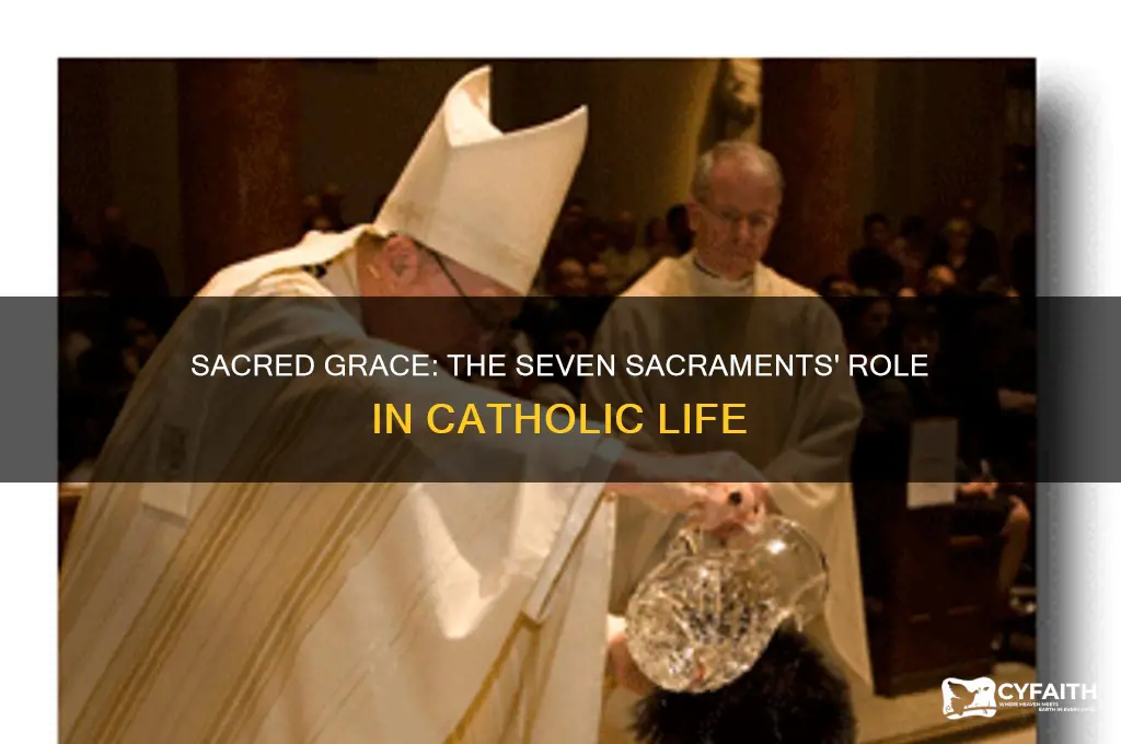 how are tbe the seven sacraments important in catholic life