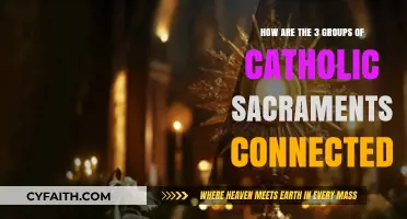 Uniting Grace: Exploring the Interconnectedness of Catholic Sacrament Groups